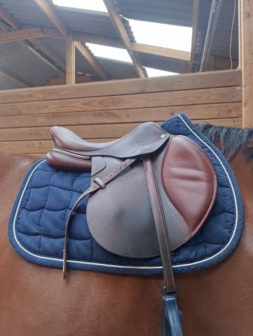 Sella da salto ostacoli CWD  17" - 2022