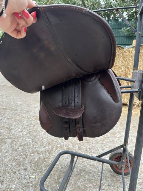 Sella da salto ostacoli Antarès Selle obstacle Altair  17" - 2021