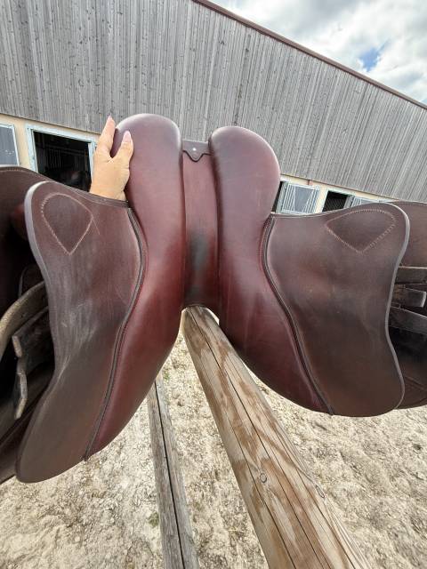 Sella da salto ostacoli CWD  17.5" - 2023