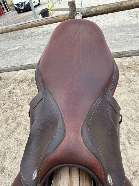 Sella da salto ostacoli CWD  17.5" - 2023