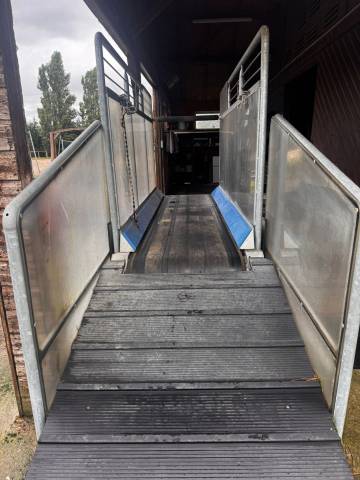  Horse Gym 2000 Occasione