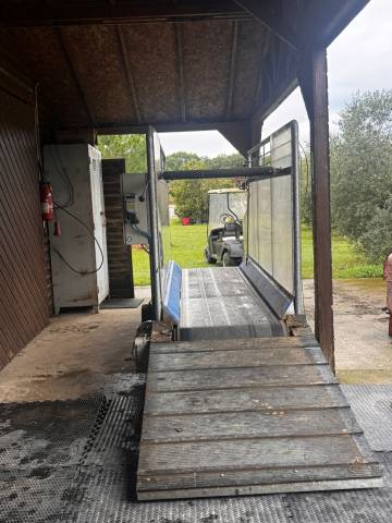  Horse Gym 2000 Occasione