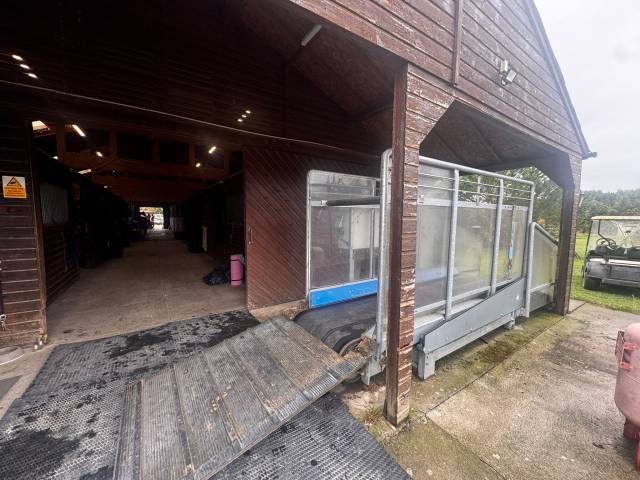  Horse Gym 2000 Occasione