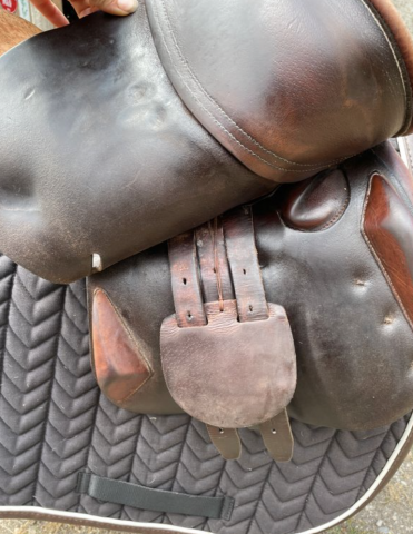 Sella da salto ostacoli Antarès  15" - 2012