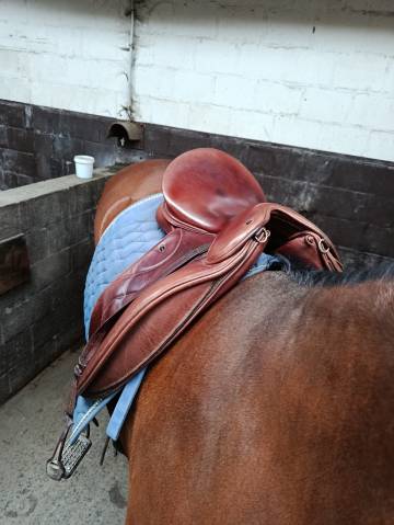 Sella da dressage WOW  18" - 2021