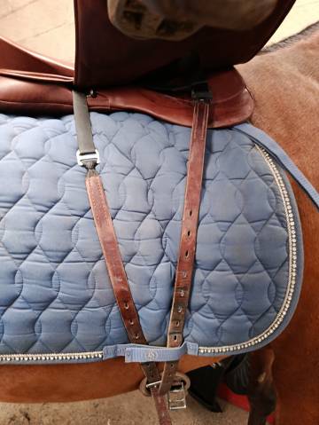 Sella da dressage WOW  18" - 2021
