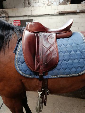 Sella da dressage WOW  18" - 2021
