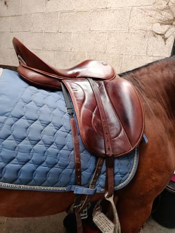 Sella da dressage WOW  18" - 2021