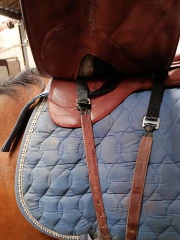 Sella da dressage WOW  18" - 2021