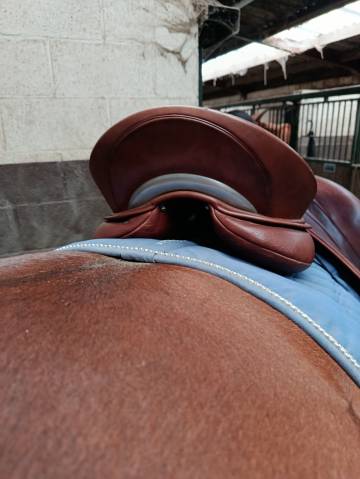 Sella da dressage WOW  18" - 2021