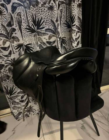 Sella da salto ostacoli Antar&egrave;s  17.5" - 2021