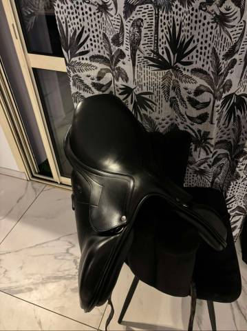 Sella da salto ostacoli Antar&egrave;s  17.5" - 2021