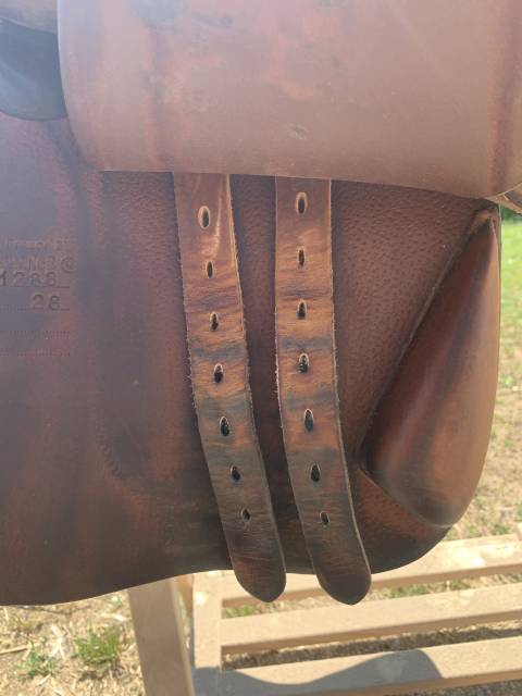 Sella da salto ostacoli Delgrange  17" - 2017