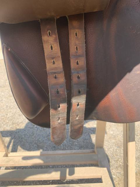 Sella da salto ostacoli Delgrange  17" - 2017