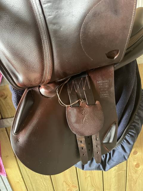 Sella da salto ostacoli Antarès  17.5" - 2023