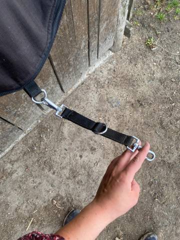  Equith&egrave;me Occasione