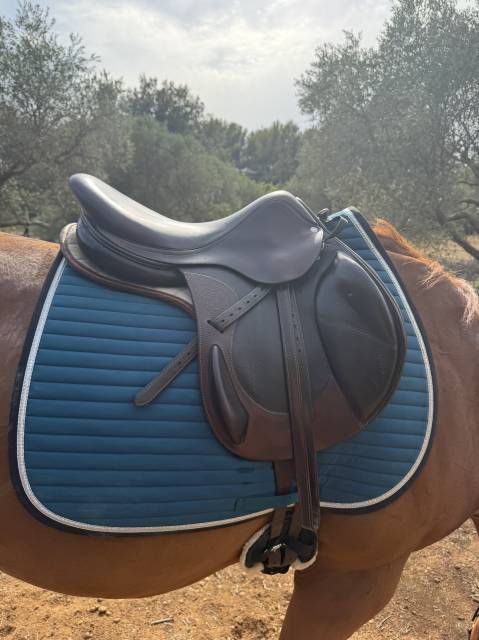 Sella da cross Antar&egrave;s  17.5" - 2017