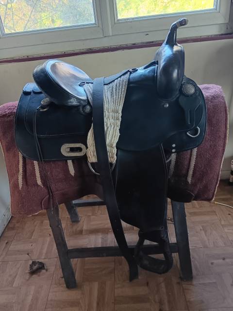 Sella western Colorado Springs  16" - 2011