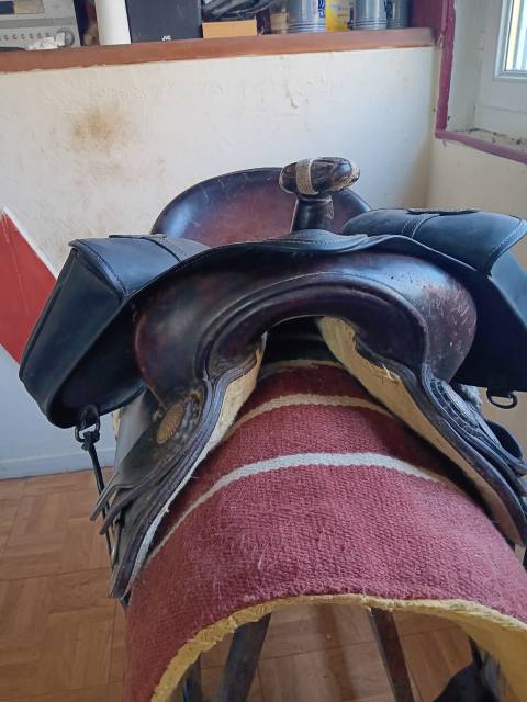 Sella western Colorado Springs  16" - 2011