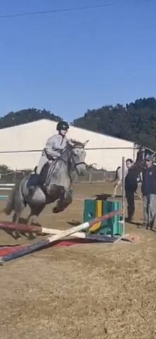 Sella mista Norton  17" - 2020