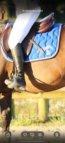 Sella mista CWD  17.5" - 2018