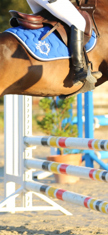 Sella mista CWD  17.5" - 2018