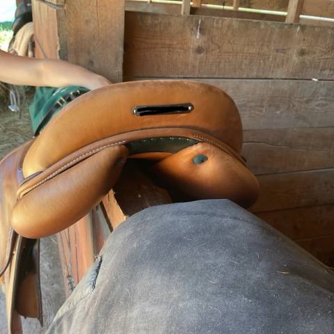 Sella da salto ostacoli Equipe  17.5" - 2023