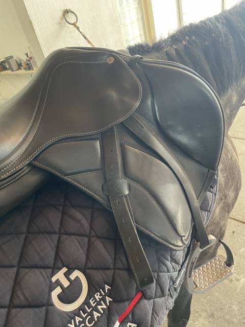 Sella Acavallo 17,5” Modigliani Nero 