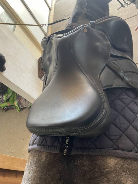 Sella Acavallo 17,5” Modigliani Nero 