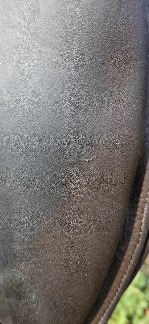 Sella da dressage Ikonic  17.5" - 2024