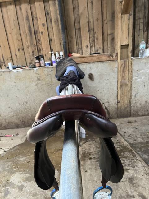 Selle primo Prezzo CWD  17" - 2017