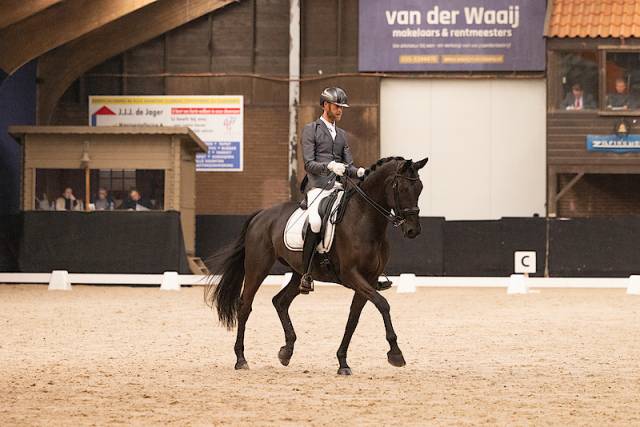 Cavalla KWPN Cavallo da Sport Neerlandese In vendita 2014 Altro colore ,  Eastwood s