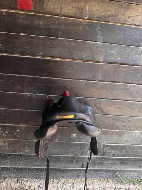 Sella da salto ostacoli Forestier  17.5" - 2022