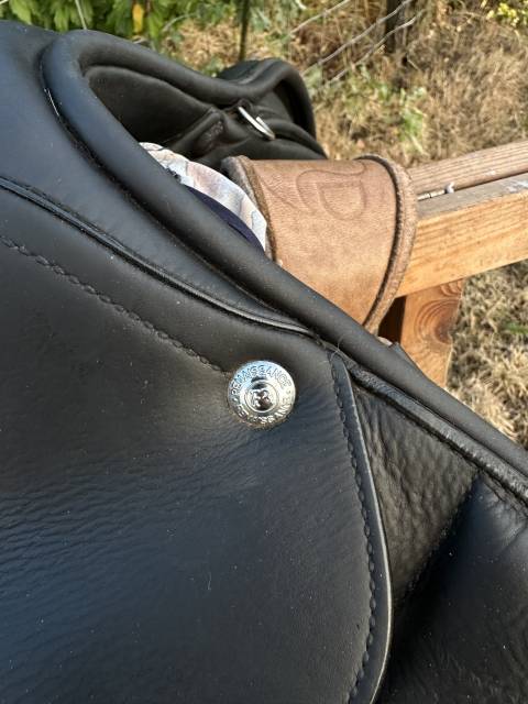 Sella da salto ostacoli Renaissance F2 17" - 2020