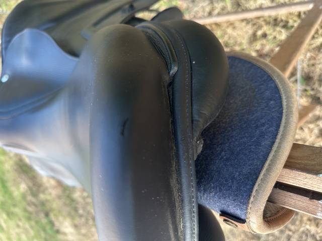 Sella da salto ostacoli Renaissance F2 17" - 2020