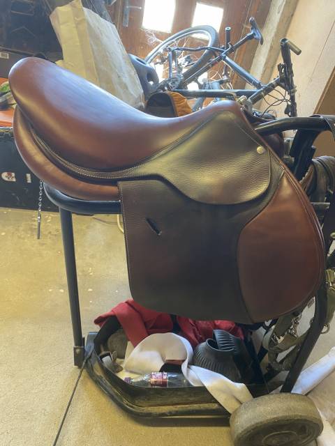 Sella da salto ostacoli Butet  17" - 2019