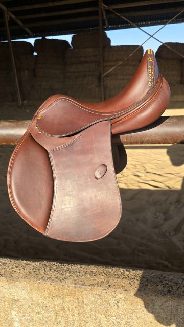 Sella mista  Acavallo bernini 17.5" - 2025