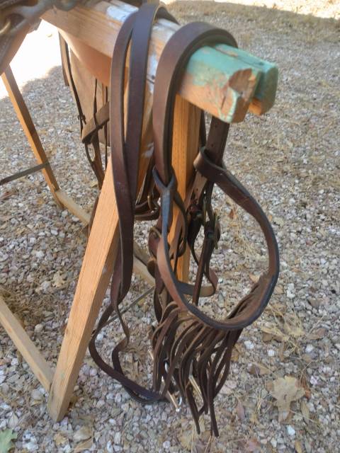 Sella da trekking JMS Nomade 17" - 2010