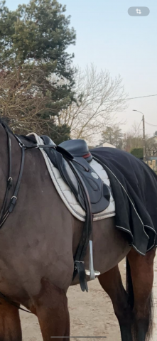 Sella da salto ostacoli Time Rider  17.5" - 2019