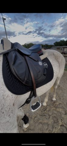 Sella da salto ostacoli Time Rider  17.5" - 2019