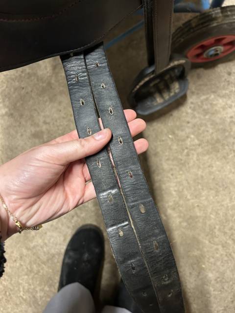 Sella da salto ostacoli Time Rider  17.5" - 2019