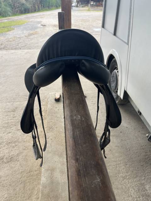 Sella da dressage Darroze  16.5" - 2023