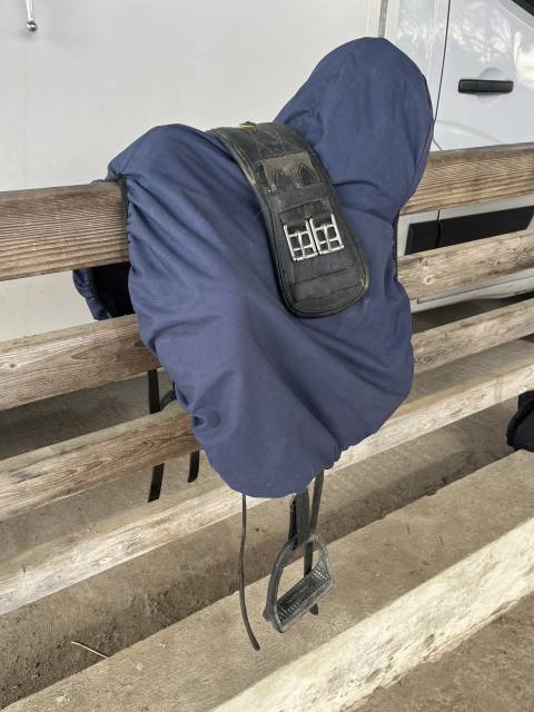 Sella da dressage Darroze  16.5" - 2023