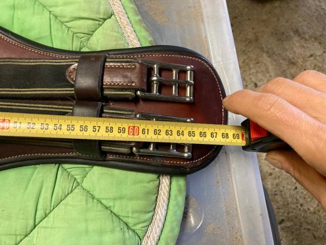 Sella da dressage   16.5" - 2023