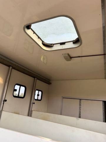Camion per Cavalli Man MAN 1996 Occasione