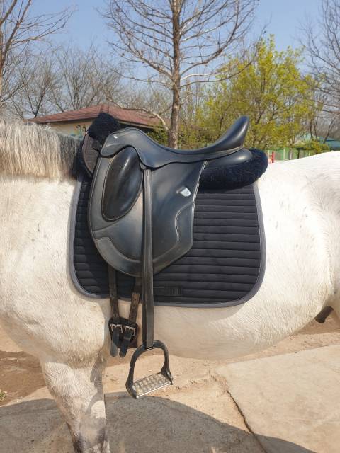 Sella da dressage Bates  17.5" - 2024