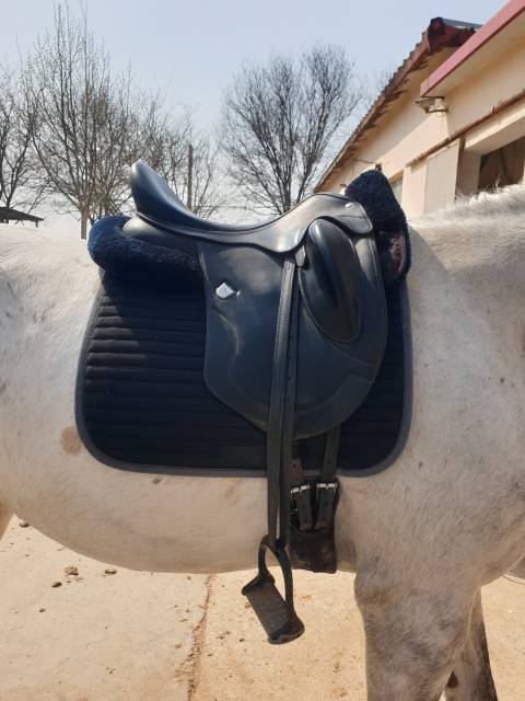 Sella da dressage Bates  17.5" - 2024