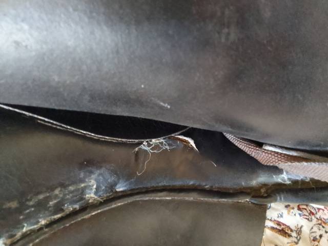 Sella da dressage  prestige 17.5" - 2005