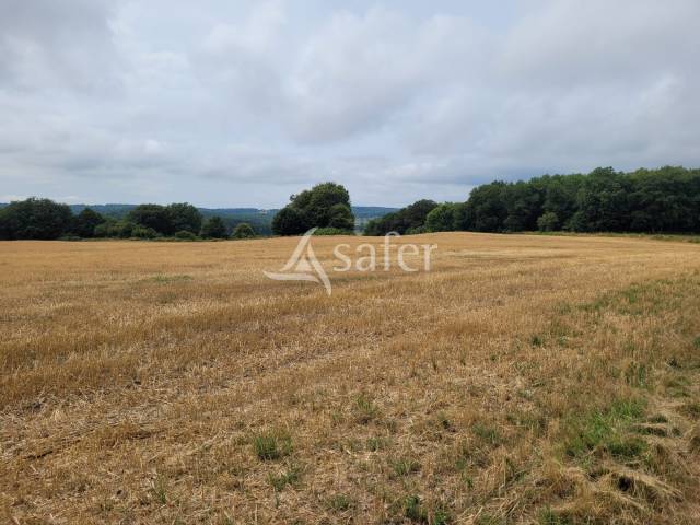 Azienda agricola In vendita Cantal