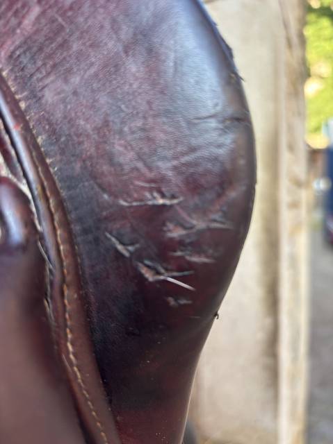 Sella da salto ostacoli Meyer  17.5" - 2018